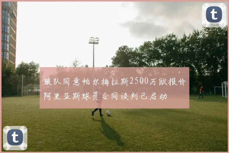 狼队同意帕尔梅拉斯2500万欧报价阿里亚斯球员合同谈判已启动